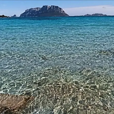 Profumo Di Sardegna Porto Istana