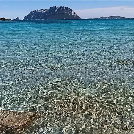 Profumo Di Sardegna Porto Istana