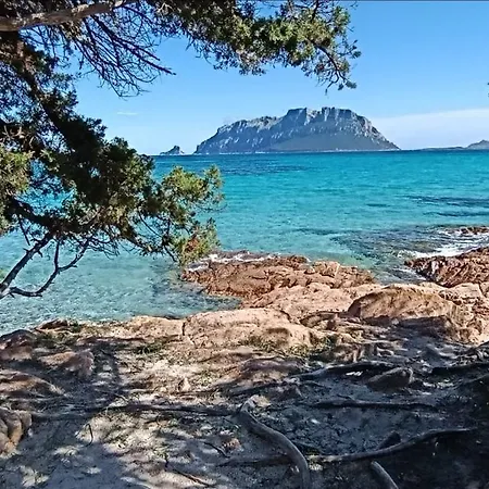 Villa Profumo Di Sardegna *