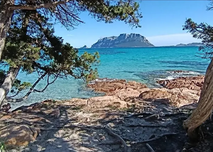 Villa Profumo Di Sardegna *
